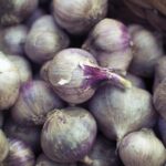 Dadar Beredar Cabang Bogor: Surga Kuliner di Tengah Kota