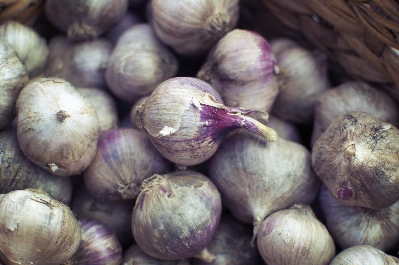 Dadar Beredar Cabang Bogor: Surga Kuliner di Tengah Kota